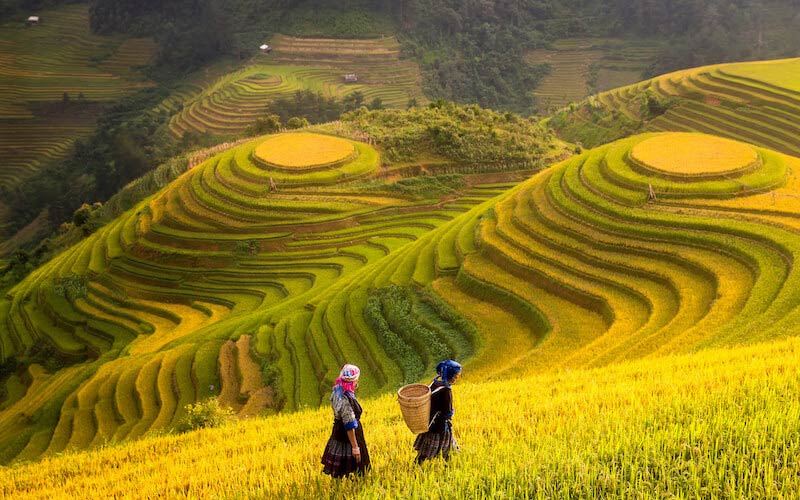 Tour du lịch sapa vào tháng 10